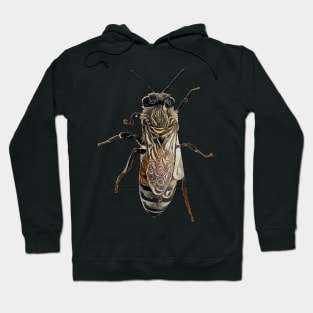 Worker Honey Bee 07 Hoodie